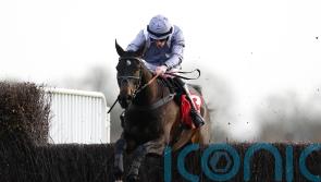 ‘Next couple of weeks’ key to King George plans for Il Est Francais