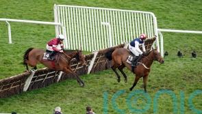 All eyes on The Jukebox Man for Newbury fencing debut