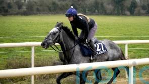 Fil Dor beats only rival at long odds-on for Thurles Listed gold