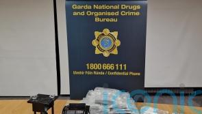 Two arrested after multi-million euro cocaine seizure