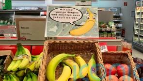 Empathy with ‘sad’ bananas compels shoppers to reduce food waste, research shows