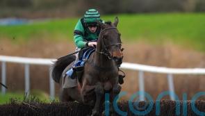 Arizona Cardinal back in good spirits and Aintree bound again
