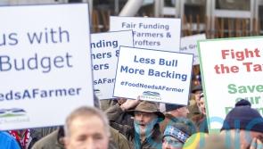 Agriculture funding change sent shock waves through Scottish farming, says NFU