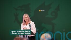 Small parties must get chance to scrutinise assisted dying proposal, Plaid urges