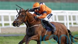 Lavender Hill Mob beaten on eagerly-awaited hurdling debut