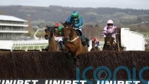 Huntingdon and Cheltenham in Ga Law equation