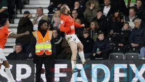 Jamal Lowe’s last-gasp strike snatches Sheffield Wednesday victory at Derby