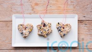 Give your garden wildlife some home-made Christmas treats