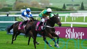 Jonbon heads eight contenders for Tingle Creek crown