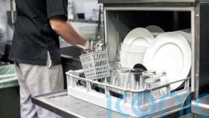 Irregular employment of migrant workers falls following new laws