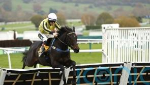 All roads lead to Cheltenham for Gredley Festival hopes