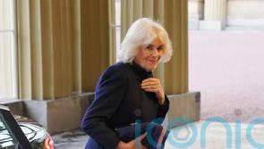 Queen’s chest infection ‘was form of pneumonia’