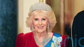 Camilla makes it to state banquet after pneumonia revelation