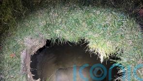 Authorities fear woman was swallowed by sinkhole while looking for her cat