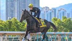 Starlust still going strong ahead of Hong Kong Sprint bid
