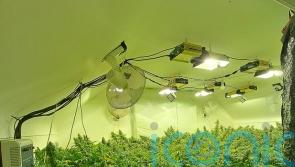 One arrest after ‘cannabis factory’ discovered in Co Tyrone
