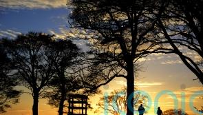 Ministers urged to give locals ‘meaningful say’ on Galloway National Park plans