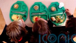 ‘Fussy eating’ disorder linked to differences in brain structure, study shows