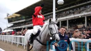 Thriving Grey Dawning bang on course for King George