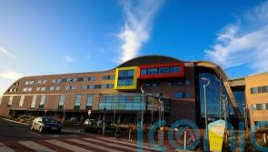 Data from hospital cyber attack ‘could be released before NHS can investigate’