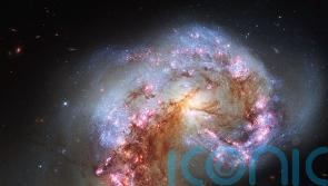 Mystery of how giant galaxies formed could be close to being solved