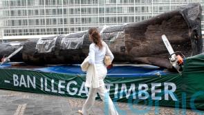 EU pushes back deforestation law by a year after outcry from global producers