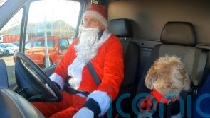 Labradoodle puppy helps charity ‘spread kindness one delivery at a time’