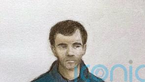 Suspected Russian spy claimed to be working for Interpol, court told