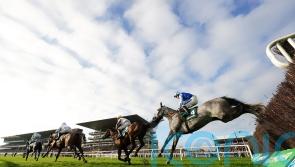 Murphy has Grey in Resplendent form ahead of Sandown test