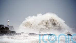 Wind speeds top 90mph as Storm Darragh starts to lash UK