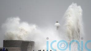 Man dies after tree falls on van as Storm Darragh lashes UK
