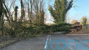 About 22,000 remain without power in Northern Ireland following Storm Darragh