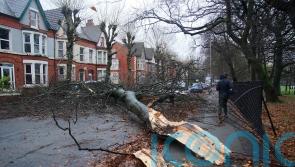 Further disruption expected as strong winds continue in wake of Storm Darragh