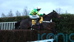 Jonbon all class to retain Tingle Creek title