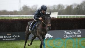 Djelo demolishes Peterborough Chase rivals