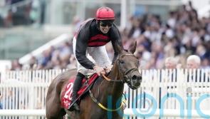 Pinkerton poised for December Gold Cup Cheltenham raid