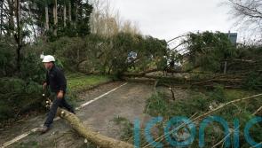 Homes without power after Storm Darragh ‘to be reconnected by Wednesday’