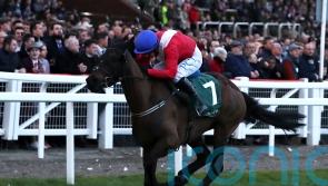 Mullins describes Ferny Hollow death as ‘very, very sad’