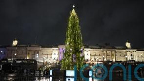 Fact check: Trafalgar Square Christmas tree appears similar to previous years