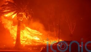 Wind-driven California wildfire sees thousands ordered to evacuate