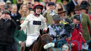 Bailey seeking future pointers from Chianti Classico at Cheltenham