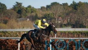 Barry Connell lining up trio of stable stars for Christmas action
