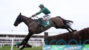 Cromwell calls on Stumptown and Vanillier for cross-country duty