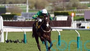 ‘Hugely exciting’ Majborough over fences for the first time at Fairyhouse
