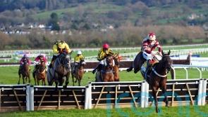 Bowen brothers share the spoils in Triumph thriller