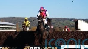 Haiti Couleurs looks good for Rebecca Curtis at Cheltenham