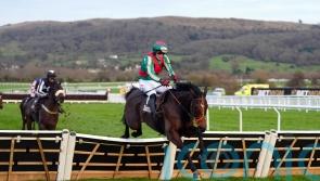 Jet-propelled success for France at Cheltenham