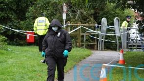 Girl, 12, charged with manslaughter of 80-year-old man in park