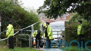 Girl, 12, appears in court charged with killing pensioner in park