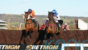 Skelton reveals Madara suffered Cheltenham injury blow